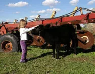 Child on a farm Child on a farm