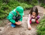 DIY Forest School activities