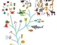 Evolution in biology Evolution in biology
