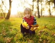 Forest school activity ideas