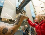 World Museum Liverpool girl and dinosaur © Mark McNulty