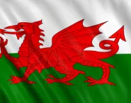 Wales flag Wales flag