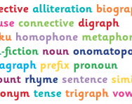 Primary-school literacy glossary
