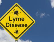 Lyme disease explained for parents