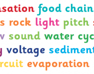 Primary-school science glossary