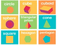 What are the properties of 2D and 3D shapes?