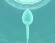 Sperm and egg Sperm and egg
