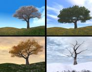 The four seasons: spring, summer, autumn, winter