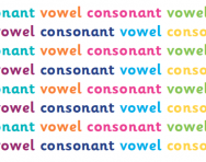 What are vowels and consonants?