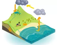 Water cycle illustration Water cycle illustration