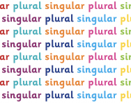 What are singular and plural?