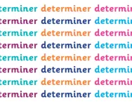 What is a determiner?