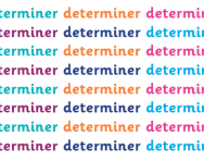 What is a determiner?