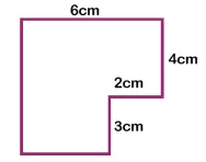 What is the perimeter? What is the perimeter?