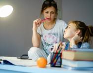 Your lockdown homeschooling worries sorted