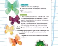 Caterpillar and butterfly playdough patterns