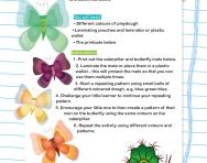 Caterpillar and butterfly playdough patterns