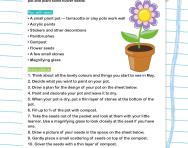 Paint a pot and plant flower seeds