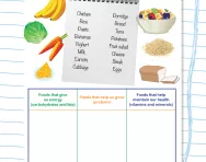 Balanced shopping list Y3 science worksheet