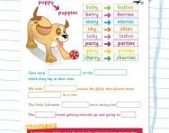 Adding -ies to form the plural worksheet