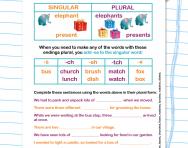 Adding -s and -es to form the plural worksheet