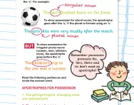 Apostrophes for possession and omission worksheet