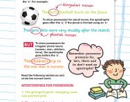 Apostrophes for possession and omission worksheet