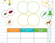Baby animals investigation