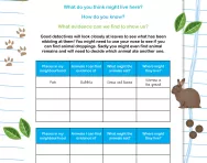 Be an animal detective