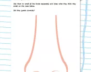 Blindfold Smelling Game