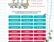 Choosing collective nouns worksheet