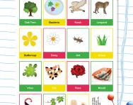Classifying animals, plants, micro-organisms