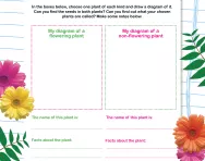 Classifying plants worksheet