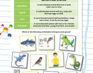 Classifying vertebrates worksheet