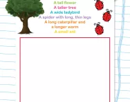 Comparing measures: describing objects using the correct vocabulary