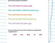 Conjunctions worksheet