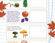 Create an autumn scrapbook