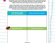 Create your own micro-habitat activity