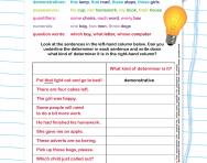 Different types of determiners worksheet