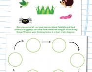 Draw a food chain diagram worksheet