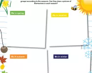 Drawing pictures of each season worksheet