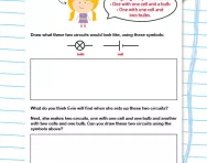 Experimenting with circuits worksheet