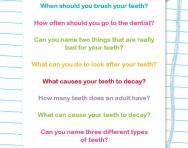 Find facts about teeth worksheet