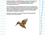 Food chains and interdependence activity