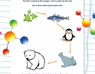 Food chains in habitats worksheet