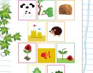 Grouping objects from nature worksheet