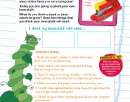 Grow your own beanstalk