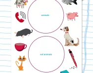 Handling data: sorting worksheet