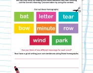 Homographs explained worksheet