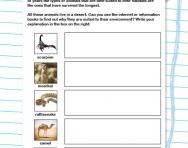 How animals are adapted to their habitat worksheet